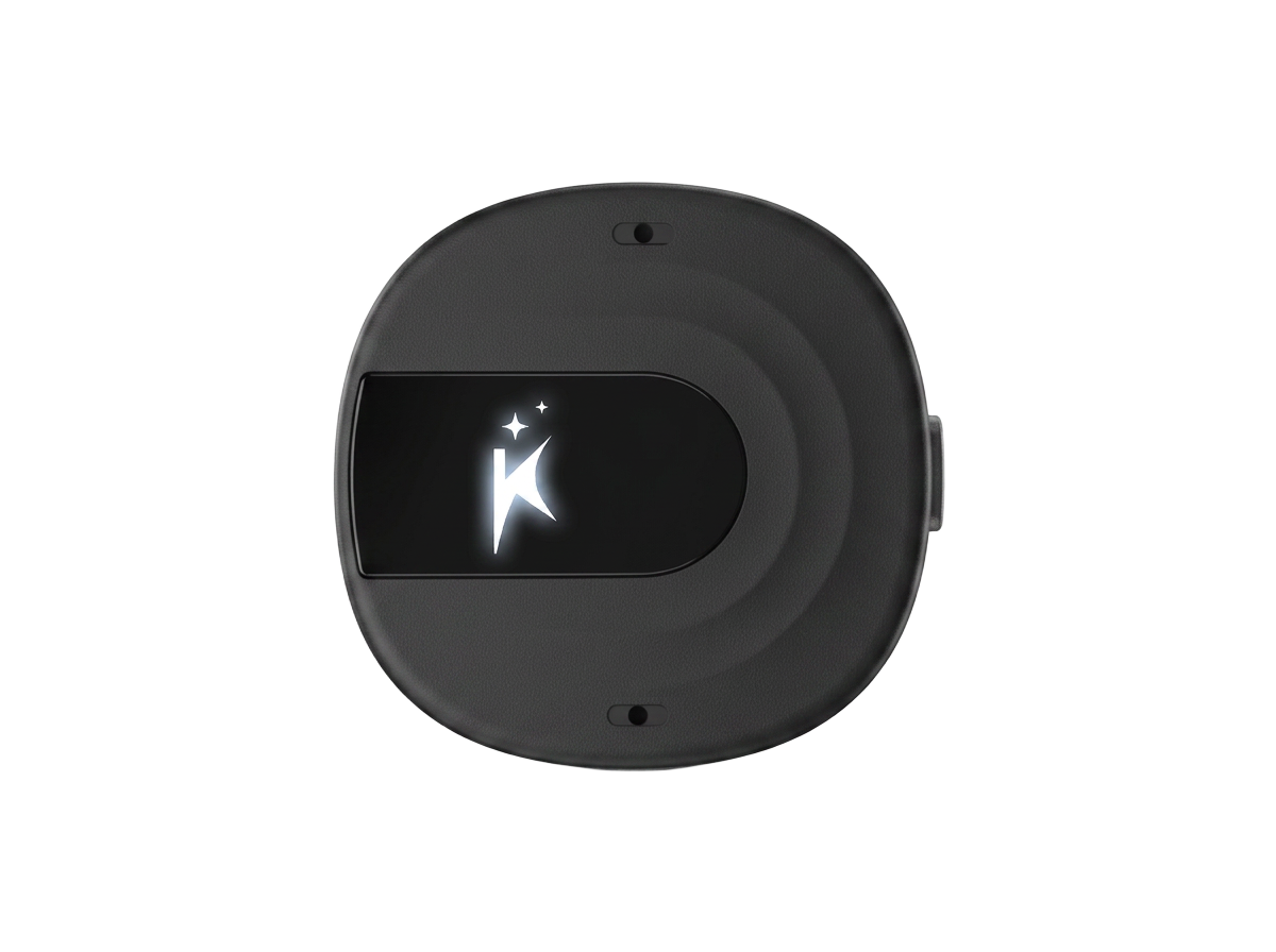 BlueSky AI Recorder